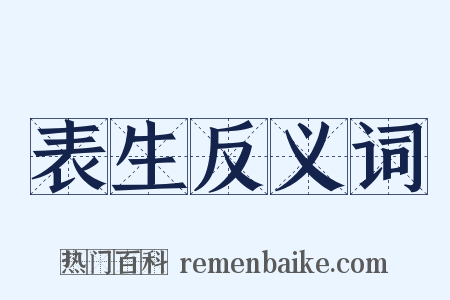 表生反义词是什么意思的图片